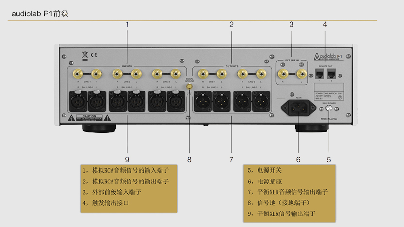 P1屁股.jpg